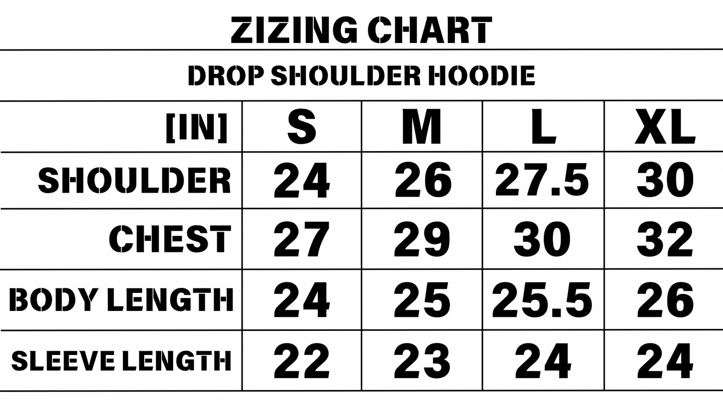 VISIONARY STUDIOS ZIP (GRAY)